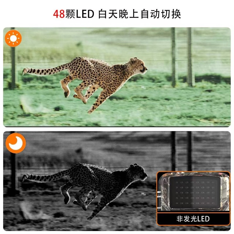 ÇOK İNDİRİMLİ DL001 Avcılık Ka - Outdoor Hunting Videos incelemesi ve fiyatı