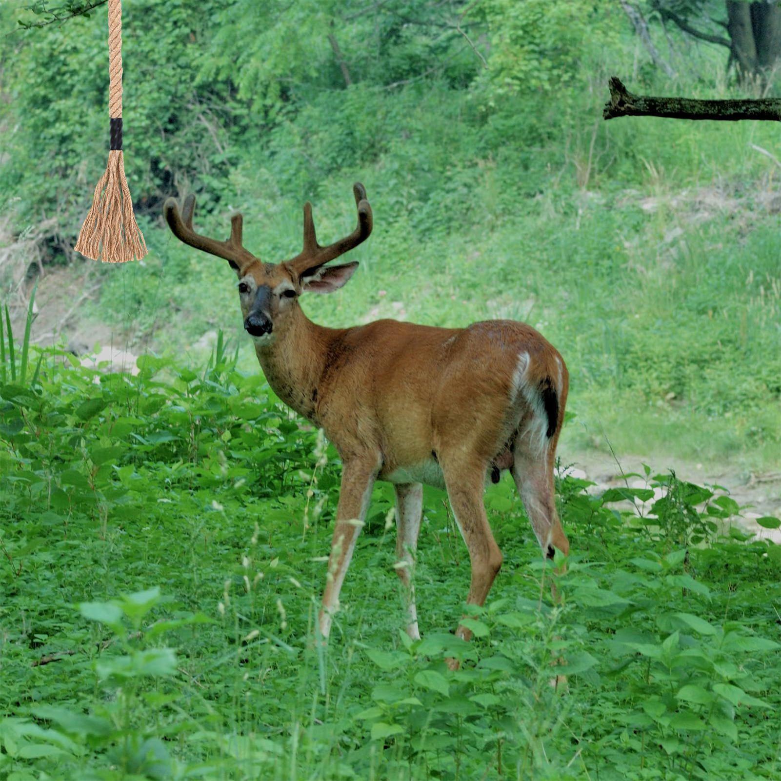 Geyik Çekici Etkili Uzun Sürel - Deer Attractant Scent incelemesi ve fiyatı