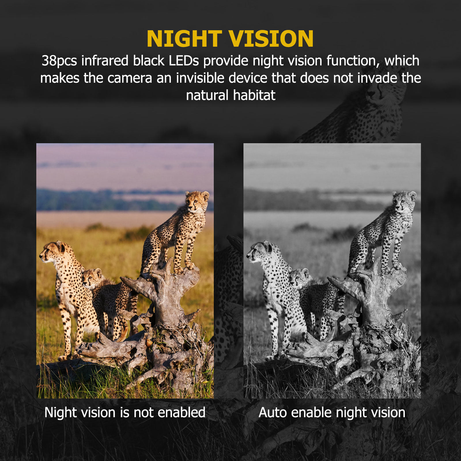 Avcılık Oyun Kamerası 12Mp Pir - Outdoor Hunting Videos incelemesi ve fiyatı